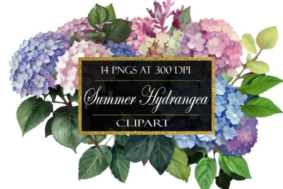 Download Summer Hydrangea Flower Clipart - Premium Resources